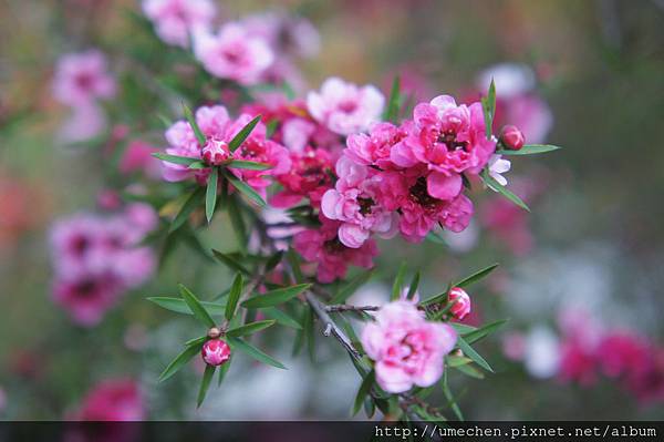 DSC06372.JPG DSC06372.JPG