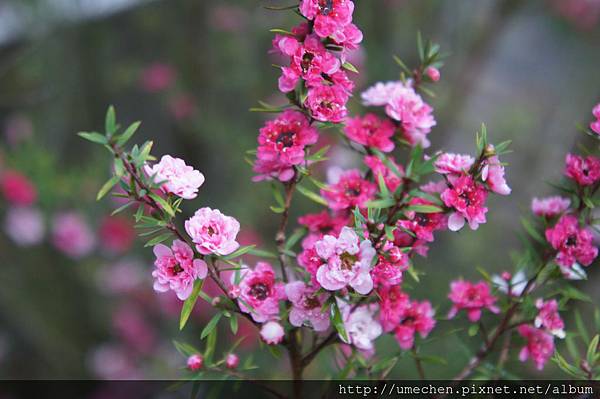 DSC06373.JPG DSC06373.JPG