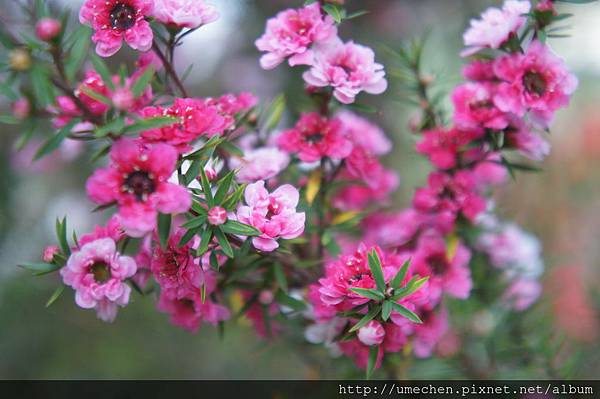 DSC06374.JPG DSC06374.JPG