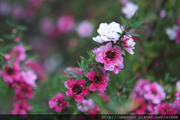 DSC06379.JPG DSC06379.JPG