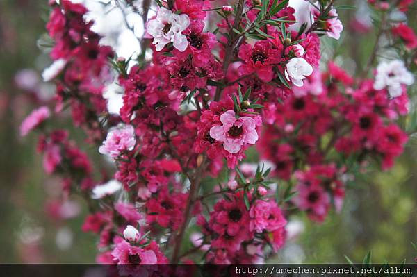 DSC06384.JPG DSC06384.JPG