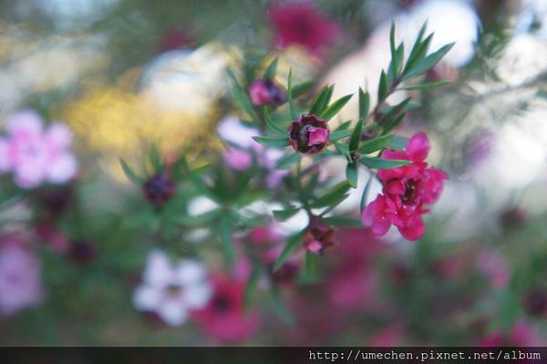 DSC06386.JPG DSC06386.JPG