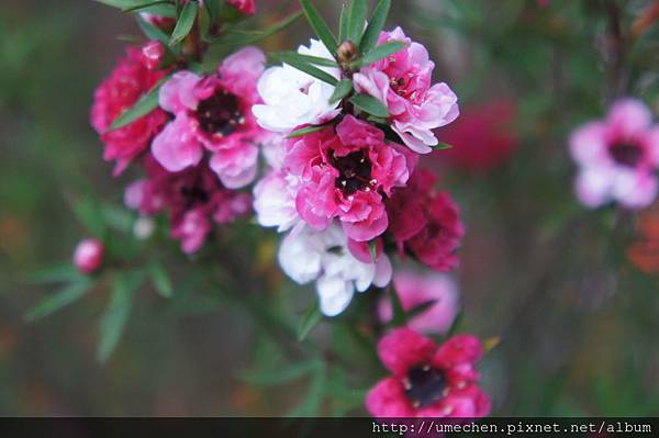 DSC06388.JPG DSC06388.JPG