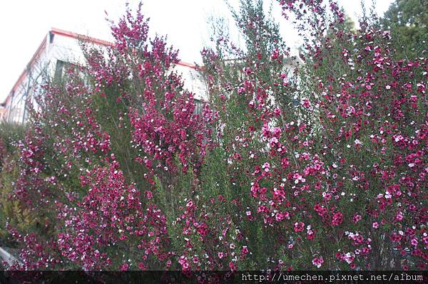 DSC06389.JPG DSC06389.JPG