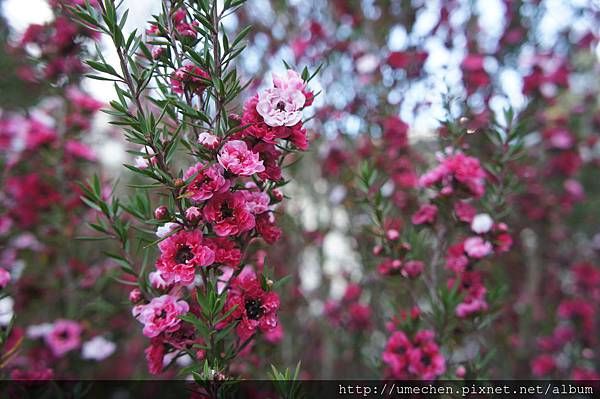 DSC06390.JPG DSC06390.JPG