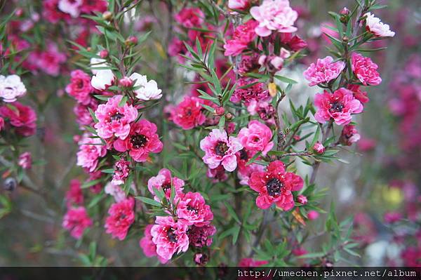 DSC06391.JPG DSC06391.JPG