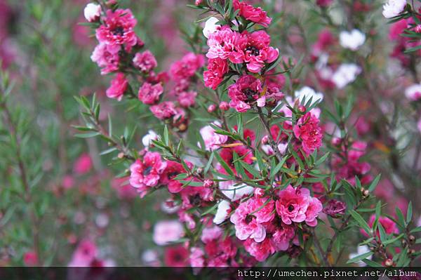 DSC06393.JPG DSC06393.JPG