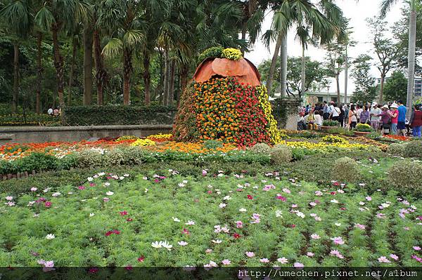 DSC06518.JPG DSC06518.JPG