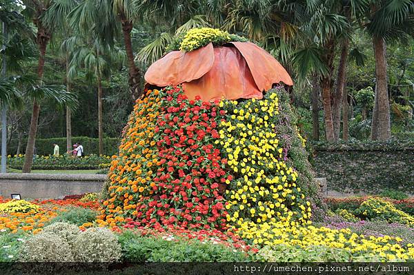 DSC06519.JPG DSC06519.JPG