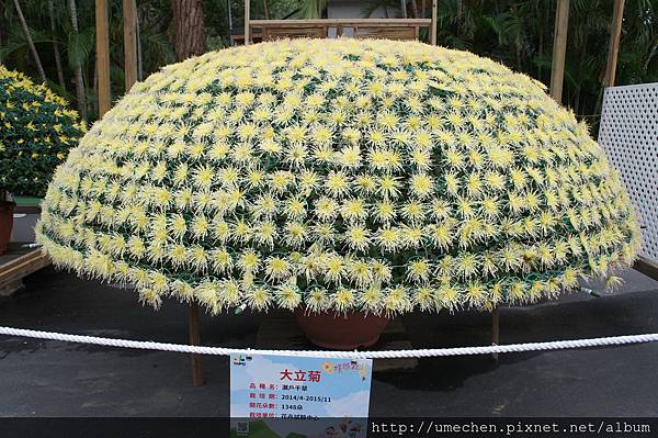 DSC06532.JPG DSC06532.JPG