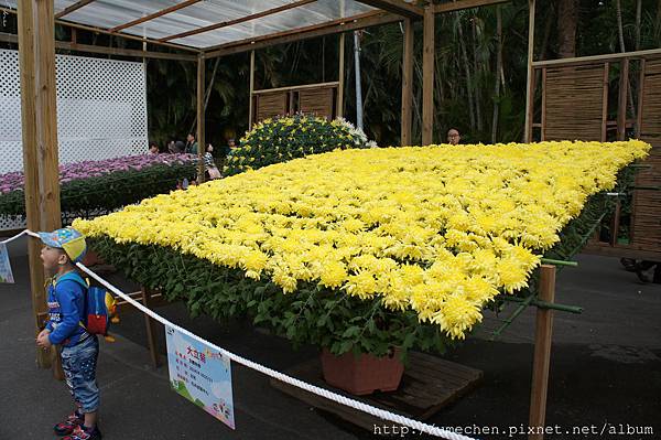 DSC06533.JPG DSC06533.JPG