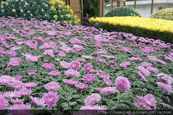 DSC06535.JPG DSC06535.JPG