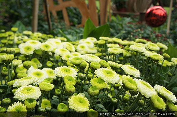 DSC06539.JPG DSC06539.JPG