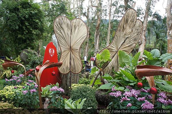 DSC06549.JPG DSC06549.JPG