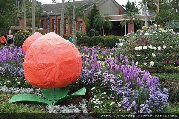 DSC06584.JPG DSC06584.JPG