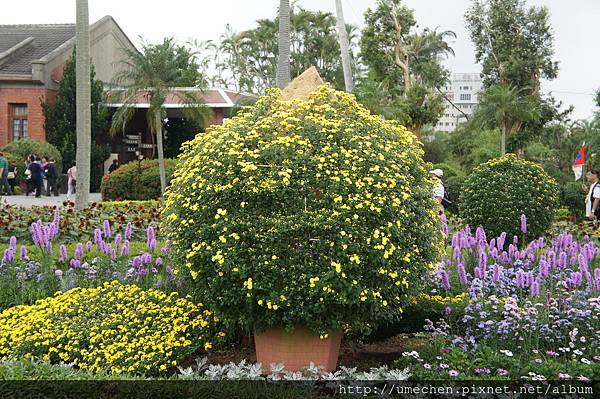 DSC06585.JPG DSC06585.JPG