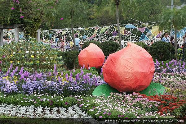 DSC06587.JPG DSC06587.JPG