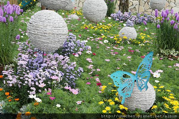 DSC06591.JPG DSC06591.JPG