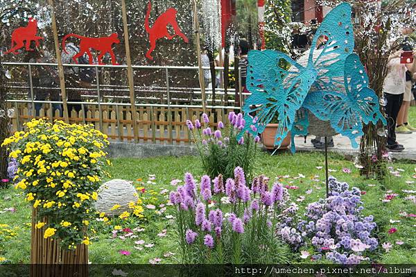 DSC06596.JPG DSC06596.JPG