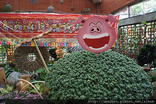 DSC06635.JPG DSC06635.JPG