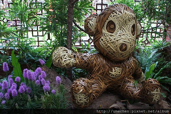 DSC06638.JPG DSC06638.JPG