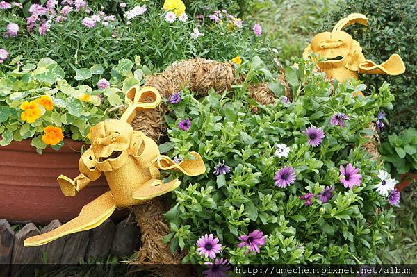 DSC06669.JPG DSC06669.JPG