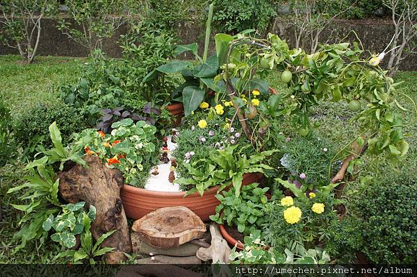 DSC06673.JPG DSC06673.JPG