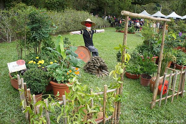 DSC06674.JPG DSC06674.JPG