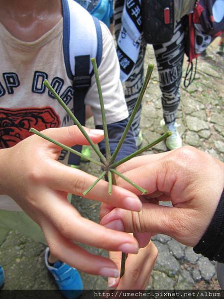 IMG_4252.JPG IMG_4252.JPG