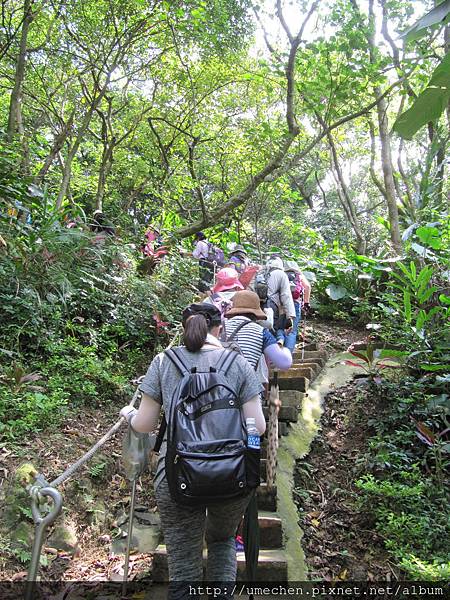 IMG_4269.JPG IMG_4269.JPG