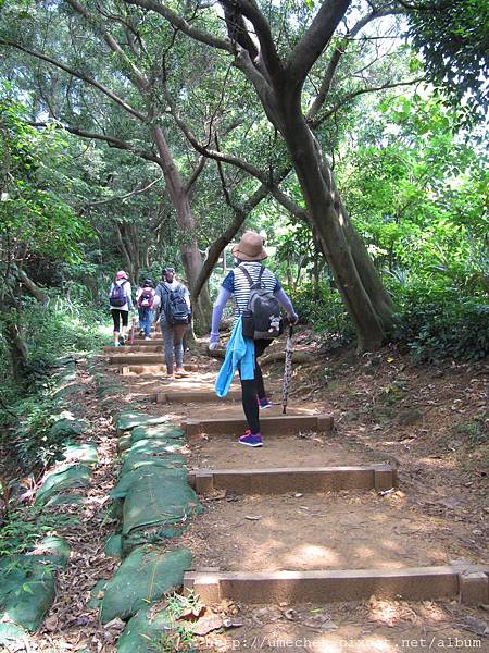 IMG_4272.JPG IMG_4272.JPG