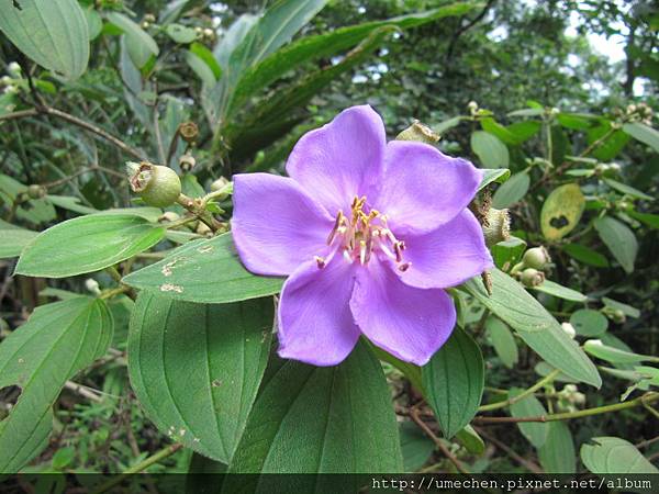 IMG_4275.JPG IMG_4275.JPG