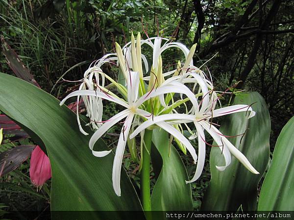 IMG_4279.JPG IMG_4279.JPG