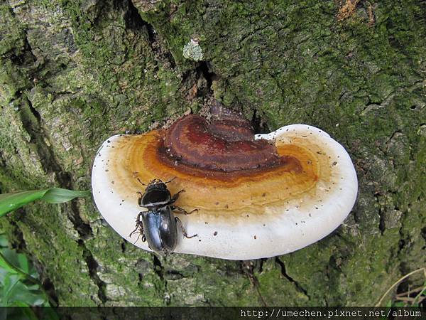 IMG_4283.JPG IMG_4283.JPG