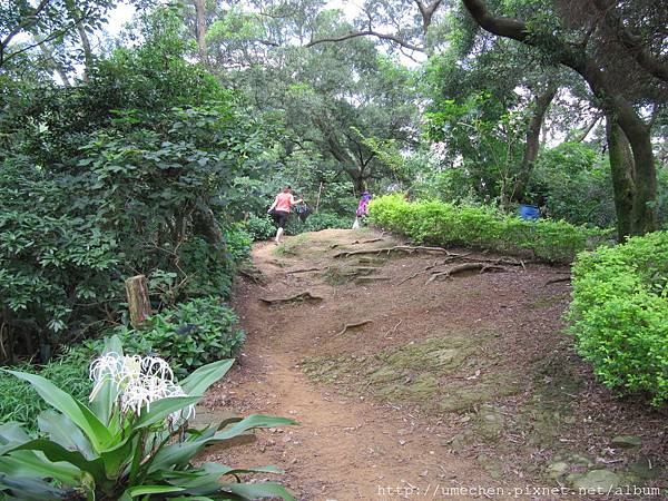 IMG_4287.JPG IMG_4287.JPG