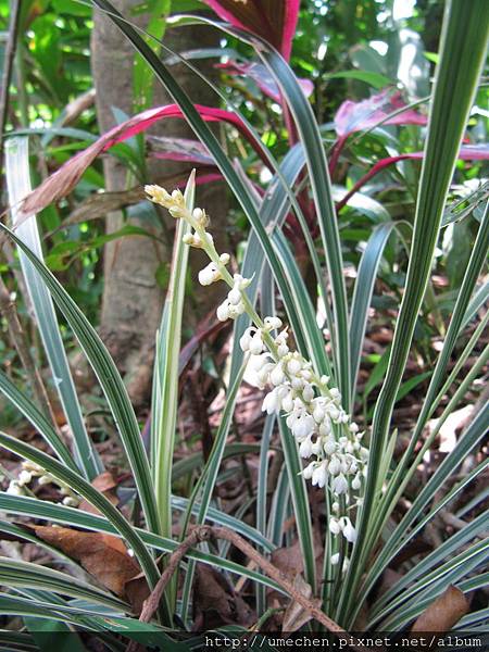 IMG_4296.JPG IMG_4296.JPG