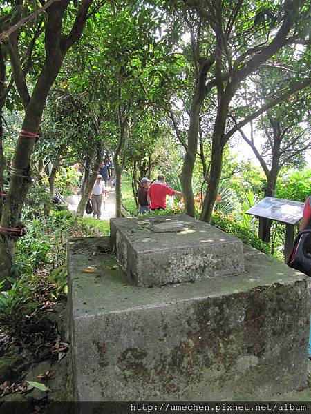 IMG_4303.JPG IMG_4303.JPG