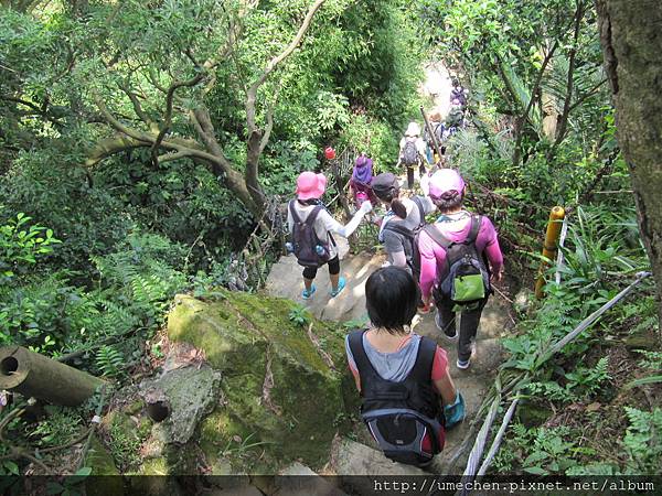 IMG_4307.JPG IMG_4307.JPG