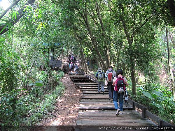 IMG_4312.JPG IMG_4312.JPG