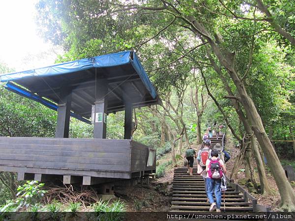 IMG_4313.JPG IMG_4313.JPG