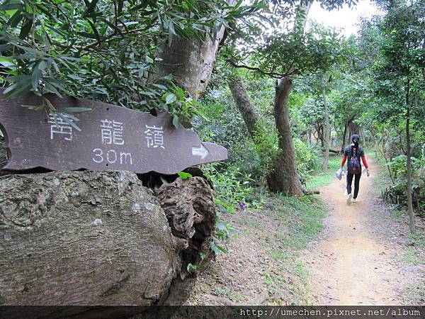 IMG_4318.JPG IMG_4318.JPG