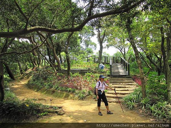 IMG_4320.JPG IMG_4320.JPG