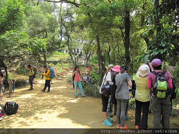 IMG_4322.JPG IMG_4322.JPG