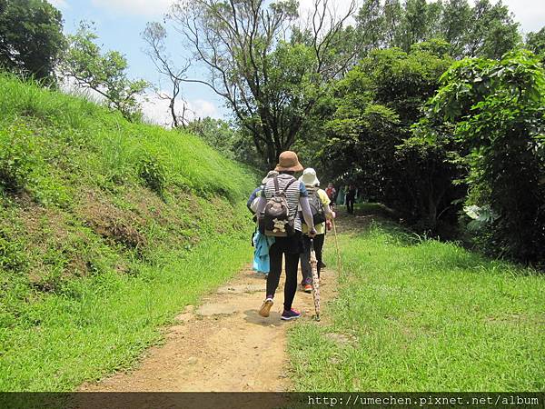 IMG_4325.JPG IMG_4325.JPG