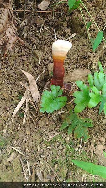 P_20170712_094906_vHDR_On.jpg P_20170712_094906_vHDR_On.jpg