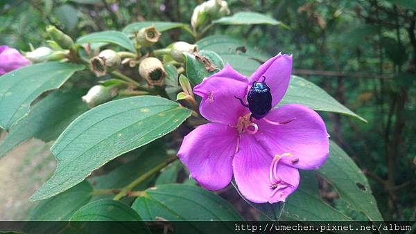 P_20170712_103847_vHDR_On.jpg P_20170712_103847_vHDR_On.jpg