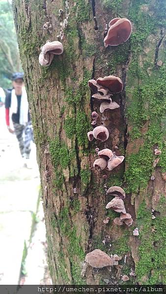 P_20170712_111906_vHDR_On.jpg P_20170712_111906_vHDR_On.jpg