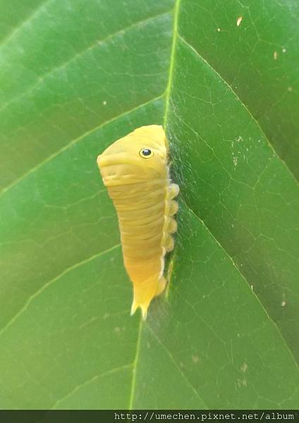 P_20170712_112458_vHDR_On_1.jpg P_20170712_112458_vHDR_On_1.jpg