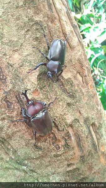 P_20170712_114427_vHDR_On.jpg P_20170712_114427_vHDR_On.jpg