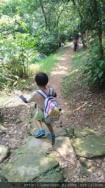 P_20170712_123031_vHDR_On.jpg P_20170712_123031_vHDR_On.jpg